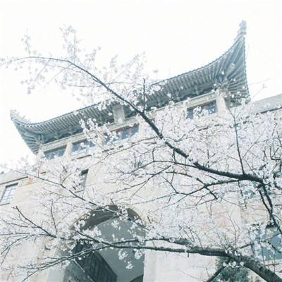 关爱西部儿童 北京链家近1400家门店启动“冬衣捐赠季”